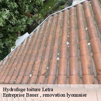 hydrofuge-toiture-letra-1