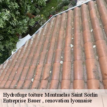 hydrofuge-toiture-montmelas-saint-sorlin-1