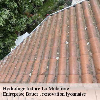 hydrofuge-toiture-la-mulatiere-1