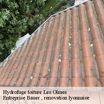 hydrofuge-toiture-les-olmes-1