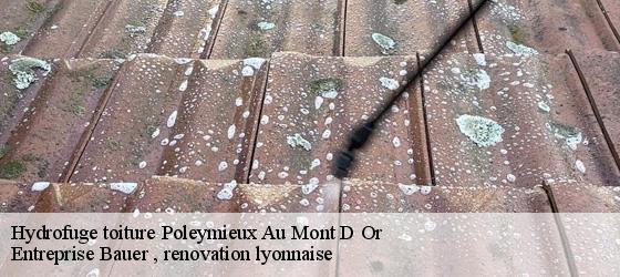 Hydrofuge toiture  poleymieux-au-mont-d-or-69250 Entreprise Bauer , renovation lyonnaise-4
