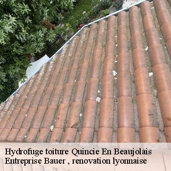 hydrofuge-toiture-quincie-en-beaujolais-1