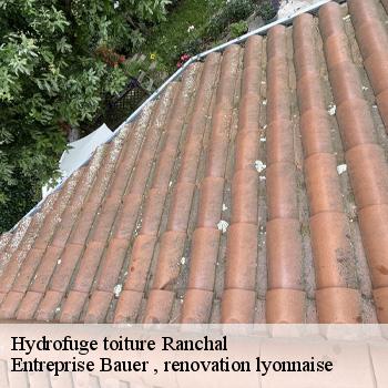 hydrofuge-toiture-ranchal-1