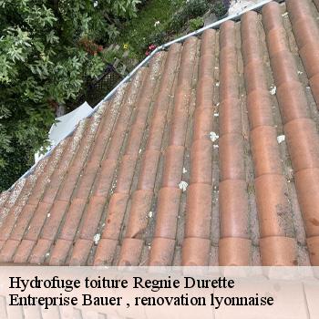 hydrofuge-toiture-regnie-durette-1