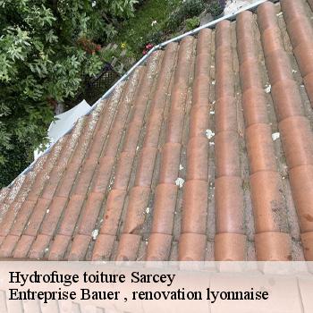 hydrofuge-toiture-sarcey-1