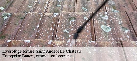 Hydrofuge toiture  saint-andeol-le-chateau-69700 Entreprise Bauer , renovation lyonnaise-4