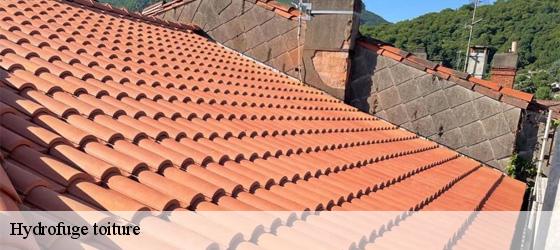 Hydrofuge toiture  saint-andeol-le-chateau-69700 Entreprise Bauer , renovation lyonnaise-6