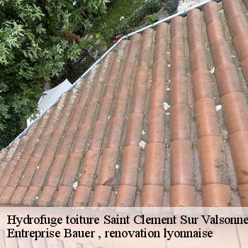 hydrofuge-toiture-saint-clement-sur-valsonne-1