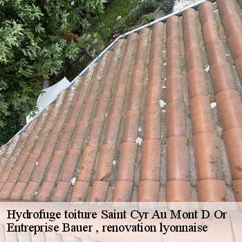 hydrofuge-toiture-saint-cyr-au-mont-d-or-1