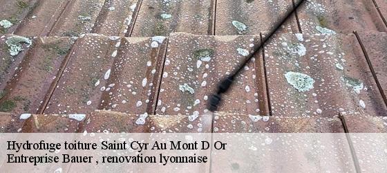 Hydrofuge toiture  saint-cyr-au-mont-d-or-69450 Entreprise Bauer , renovation lyonnaise-4