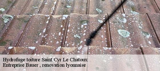 Hydrofuge toiture  saint-cyr-le-chatoux-69870 Entreprise Bauer , renovation lyonnaise-4