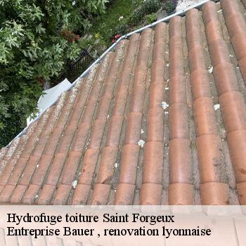 hydrofuge-toiture-saint-forgeux-1