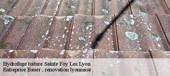 Hydrofuge toiture  sainte-foy-les-lyon-69110 Entreprise Bauer , renovation lyonnaise-4