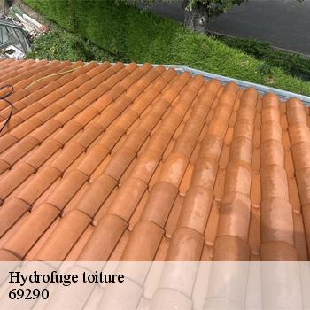 hydrofuge-toiture-saint-genis-les-ollieres-2