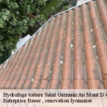 hydrofuge-toiture-saint-germain-au-mont-d-or-1