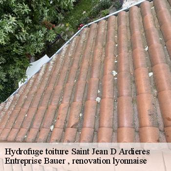 hydrofuge-toiture-saint-jean-d-ardieres-1