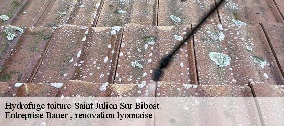Hydrofuge toiture  saint-julien-sur-bibost-69690 Entreprise Bauer , renovation lyonnaise-4