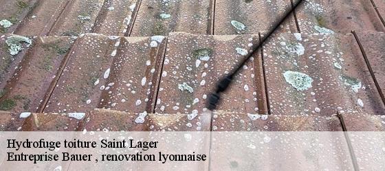 Hydrofuge toiture  saint-lager-69220 Entreprise Bauer , renovation lyonnaise-4
