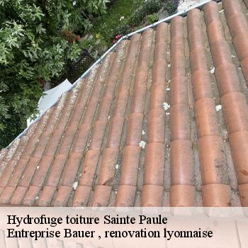 hydrofuge-toiture-sainte-paule-1
