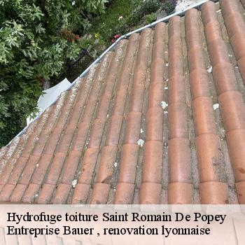 hydrofuge-toiture-saint-romain-de-popey-1