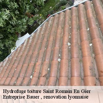 hydrofuge-toiture-saint-romain-en-gier-1