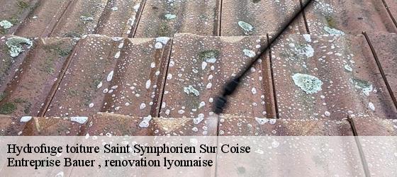 Hydrofuge toiture  saint-symphorien-sur-coise-69590 Entreprise Bauer , renovation lyonnaise-4