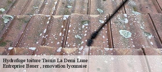 Hydrofuge toiture  tassin-la-demi-lune-69160 Entreprise Bauer , renovation lyonnaise-4