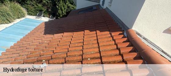 Hydrofuge toiture trades-69860 Entreprise Bauer , renovation lyonnaise-3