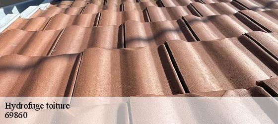 Hydrofuge toiture trades-69860 Entreprise Bauer , renovation lyonnaise-5