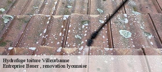 Hydrofuge toiture villeurbanne-69100 Entreprise Bauer , renovation lyonnaise-4