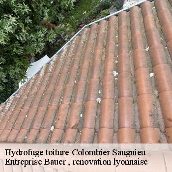 hydrofuge-toiture-colombier-saugnieu-1