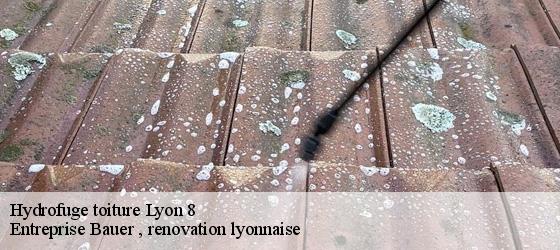 Hydrofuge toiture  lyon-8-69008 Entreprise Bauer , renovation lyonnaise-4