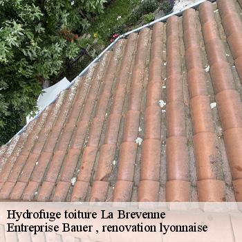 hydrofuge-toiture-la-brevenne-1