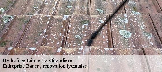 Hydrofuge toiture  la-giraudiere-69690 Entreprise Bauer , renovation lyonnaise-4