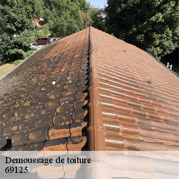 demoussage-de-toiture-satolas-aeroport-2