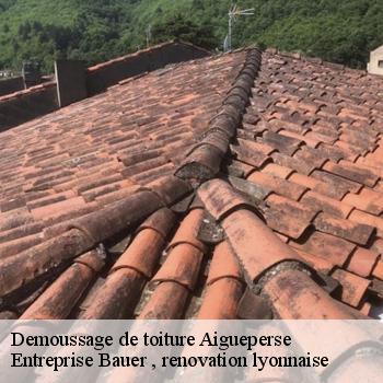demoussage-de-toiture-aigueperse-1