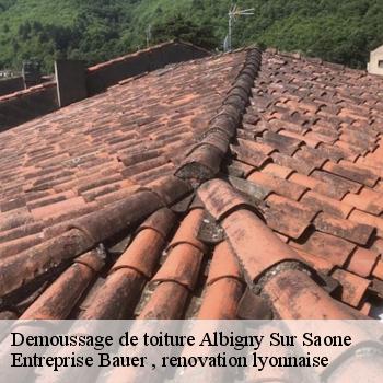 demoussage-de-toiture-albigny-sur-saone-1
