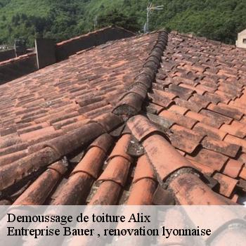 demoussage-de-toiture-alix-1