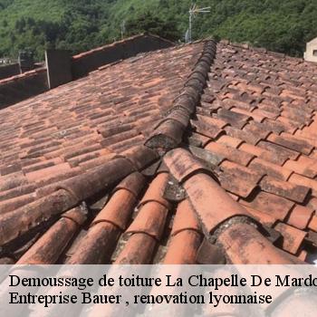 demoussage-de-toiture-la-chapelle-de-mardore-1
