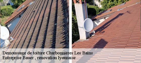 Demoussage de toiture charbonnieres-les-bains-69260 Entreprise Bauer , renovation lyonnaise-4