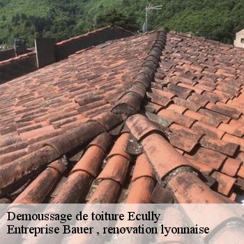 demoussage-de-toiture-ecully-1