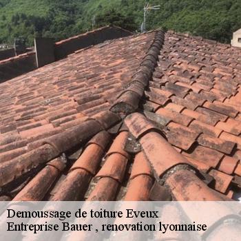 demoussage-de-toiture-eveux-1