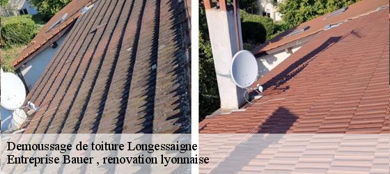 Demoussage de toiture  longessaigne-69770 Entreprise Bauer , renovation lyonnaise-4