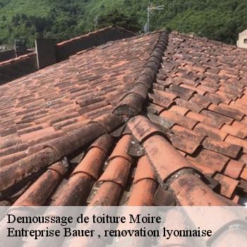 demoussage-de-toiture-moire-1