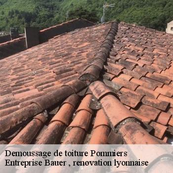 demoussage-de-toiture-pommiers-1