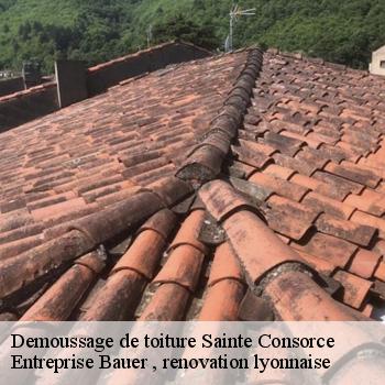 demoussage-de-toiture-sainte-consorce-1