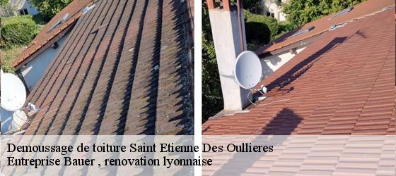 Demoussage de toiture  saint-etienne-des-oullieres-69460 Entreprise Bauer , renovation lyonnaise-4