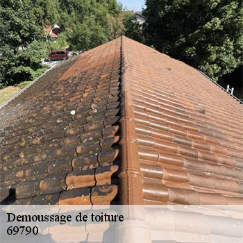 demoussage-de-toiture-saint-igny-de-vers-2