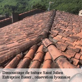 demoussage-de-toiture-saint-julien-1