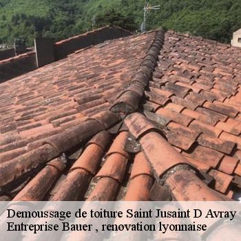 demoussage-de-toiture-saint-jusaint-d-avray-1
